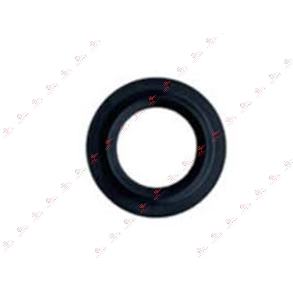 PLAKA CONTA VİESSMANN VİTODENS