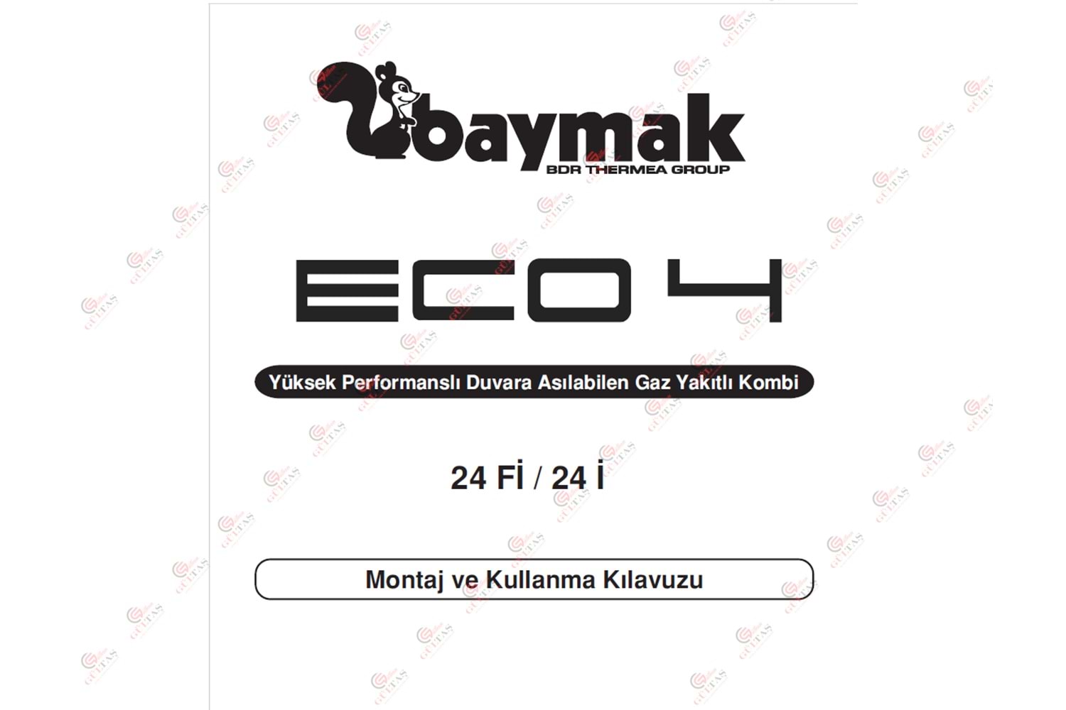 ECO 4 24FI