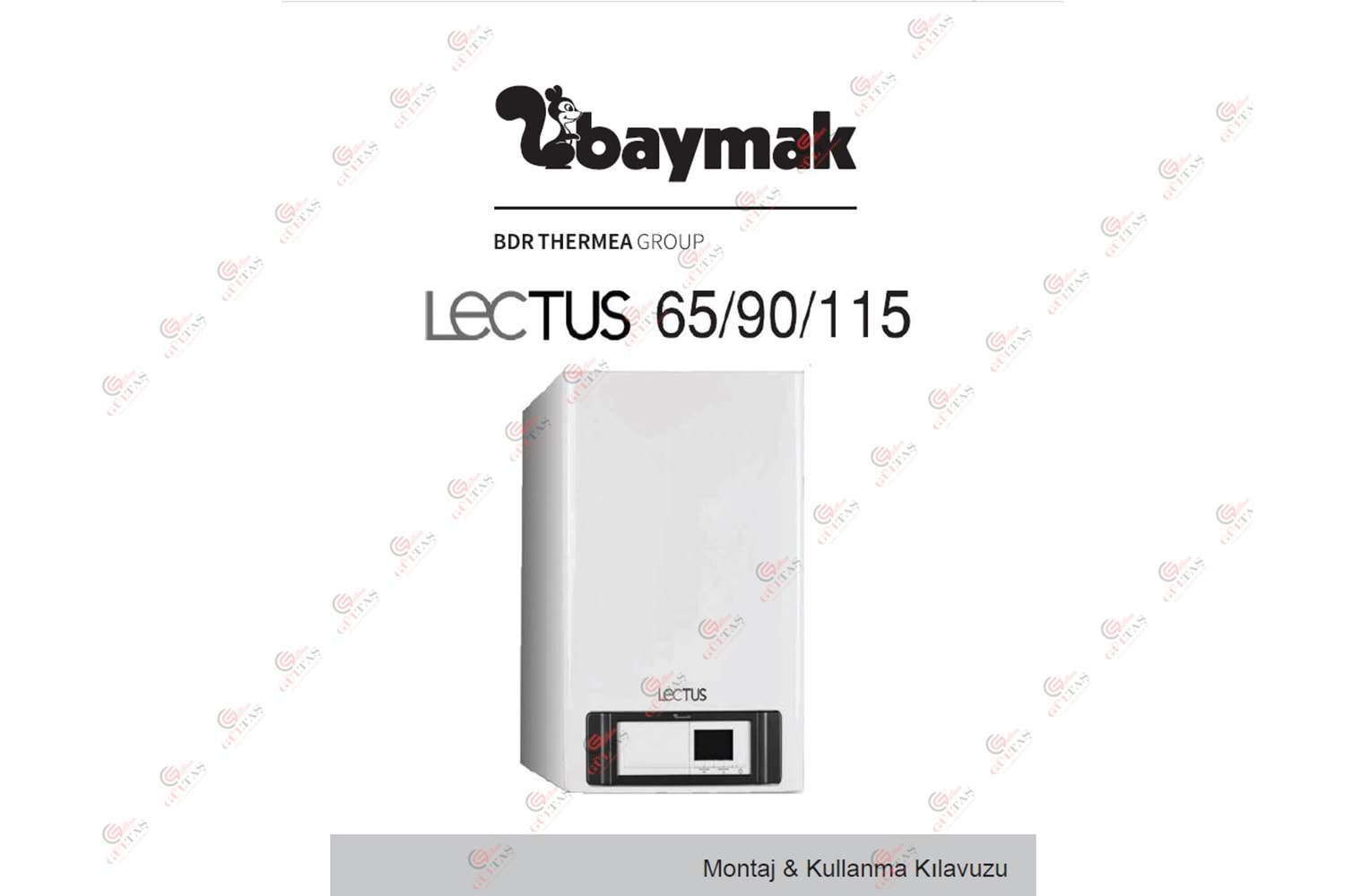 LECTUS