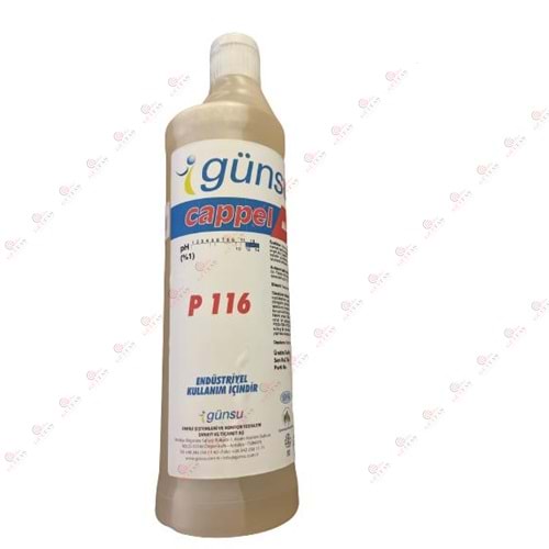 KLİMA ASİT P116 900 ML
