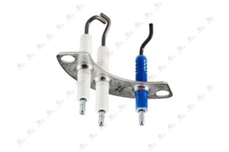 Bosch Buderus GB172 GB072 Ignition And Ionization Electrode