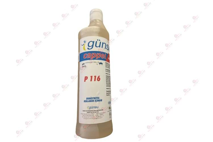 KLİMA ASİT P116 900 ML